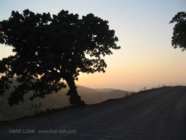 2004 Lesbos 100_0037_478